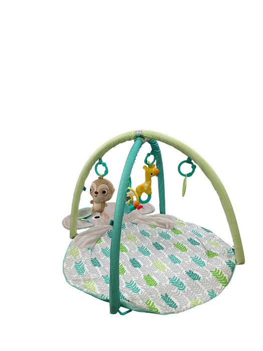 Shop Bright Starts Hug-n-Cuddle Playmat, Elephant/Green at GoodBuy Gear