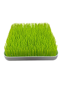 Shop Boon Grass Countertop Drying Rack, Green at GoodBuy Gear