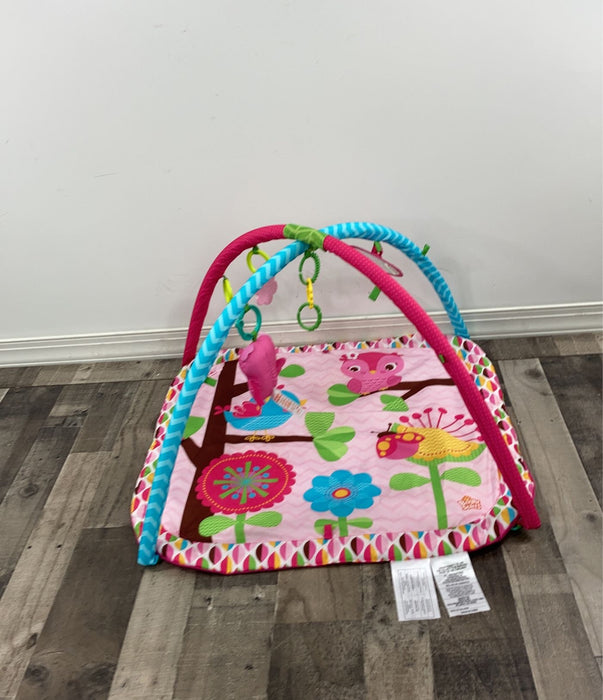 secondhand Bright Starts Activity Gym, Bloomin' Birdies