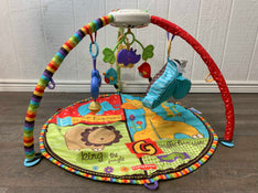 secondhand Fisher Price Zoo Playmat