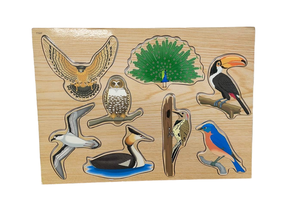 used Wooden Bird Puzzle (8 Piece)