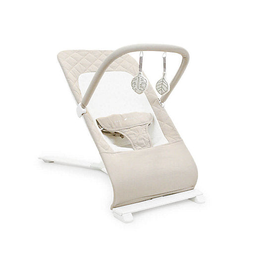 used Baby Delight Go With Me Alpine Deluxe Portable Bouncer, Organic Oat