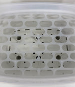Shop Papablic Baby Bottle Sterilizer at GoodBuy Gear
