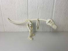 Shop Dinosaur Skeleton at GoodBuy Gear