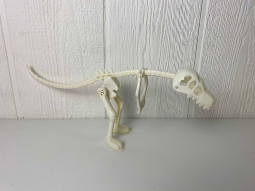 Shop Dinosaur Skeleton at GoodBuy Gear