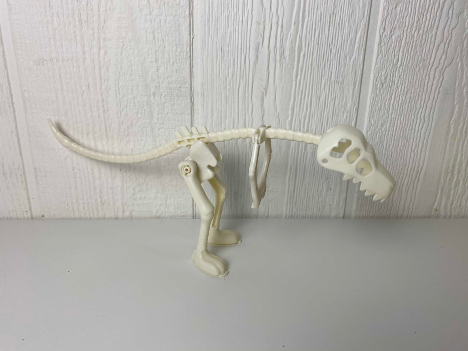 Shop Dinosaur Skeleton at GoodBuy Gear