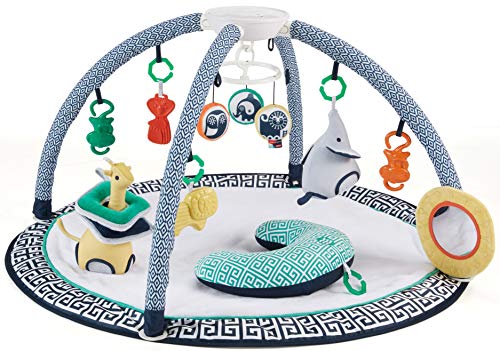 used Fisher Price Jonathan Adler Sensory Gym