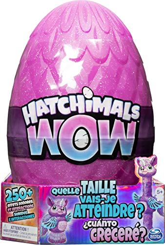 used Hatchimals WOW