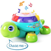 used iPlay, iLearn Crawling Follow Turtle