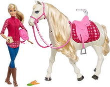 used Mattel Dream Horse