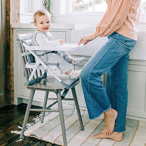 Shop Baby Delight Go With Me Cirrus Deluxe Portable Booster at GoodBuy Gear