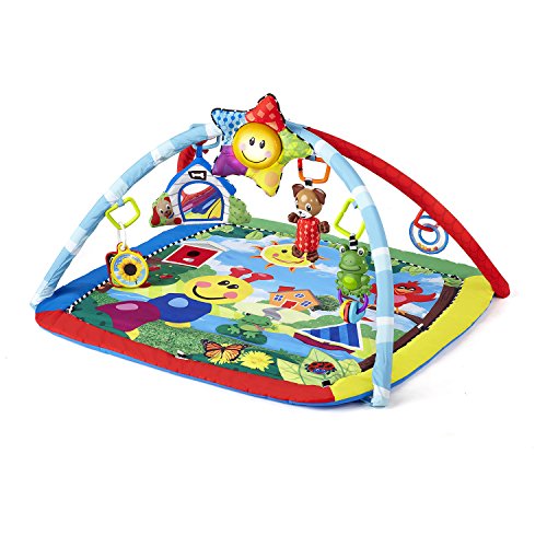 used Baby Einstein Play Gym