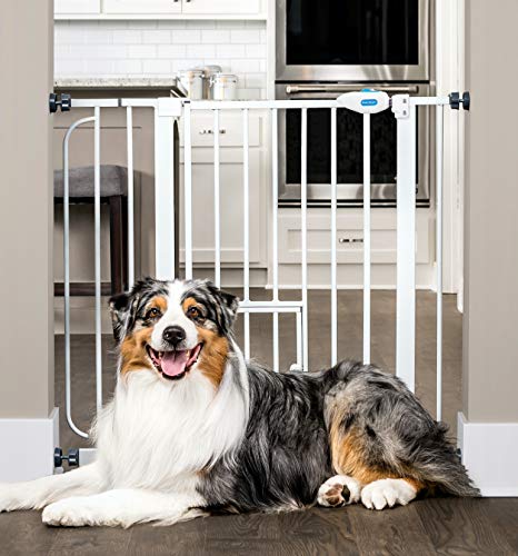 Carlson Extra-Wide Walk Through Pet Gate