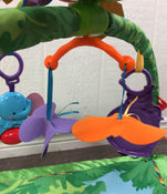 Fisher Price Rainforest Melodies and Lights Deluxe Gym