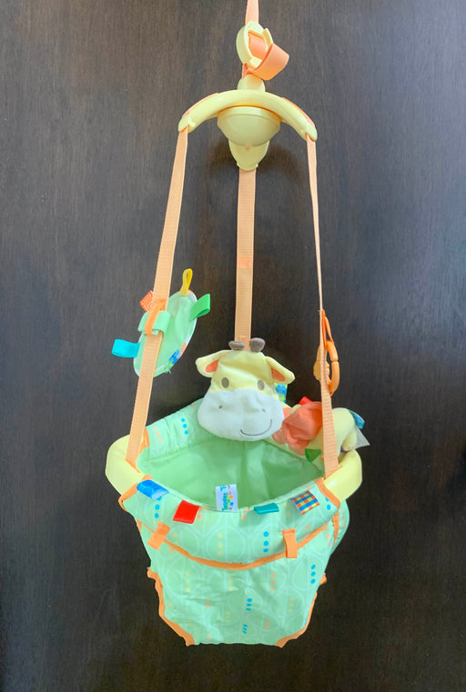 used Taggies Deluxe Door Jumper