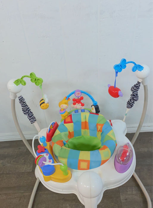 secondhand Fisher Price Discover ‘n Grow Jumperoo