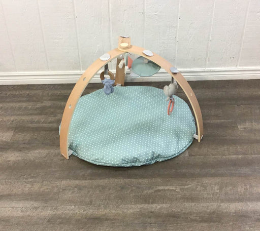 used Ingenuity Cozy Spot Reversible Activity Gym, Loamy