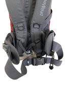 Shop Phil & Teds Escape Child Carrier at GoodBuy Gear