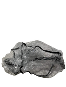 used Mockingbird Rain Cover