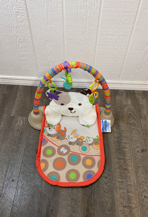 Fisher price deals puppy play mat