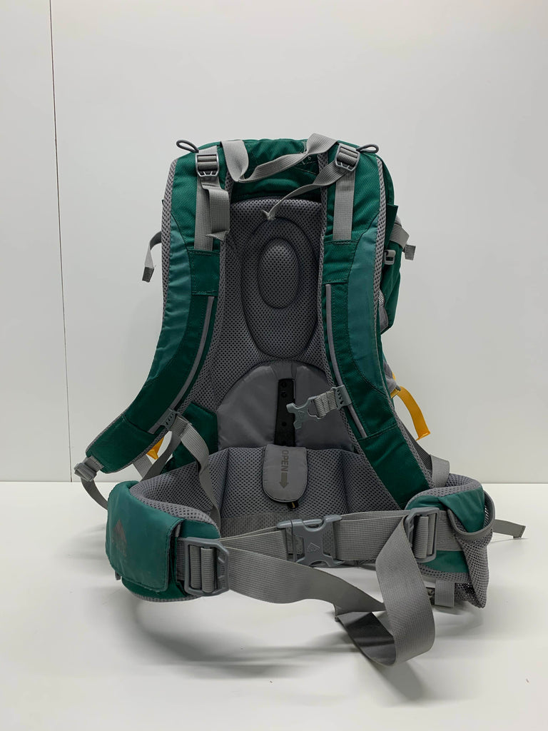 Kelty Kids Junction 2.0 Child Carrier Backpack