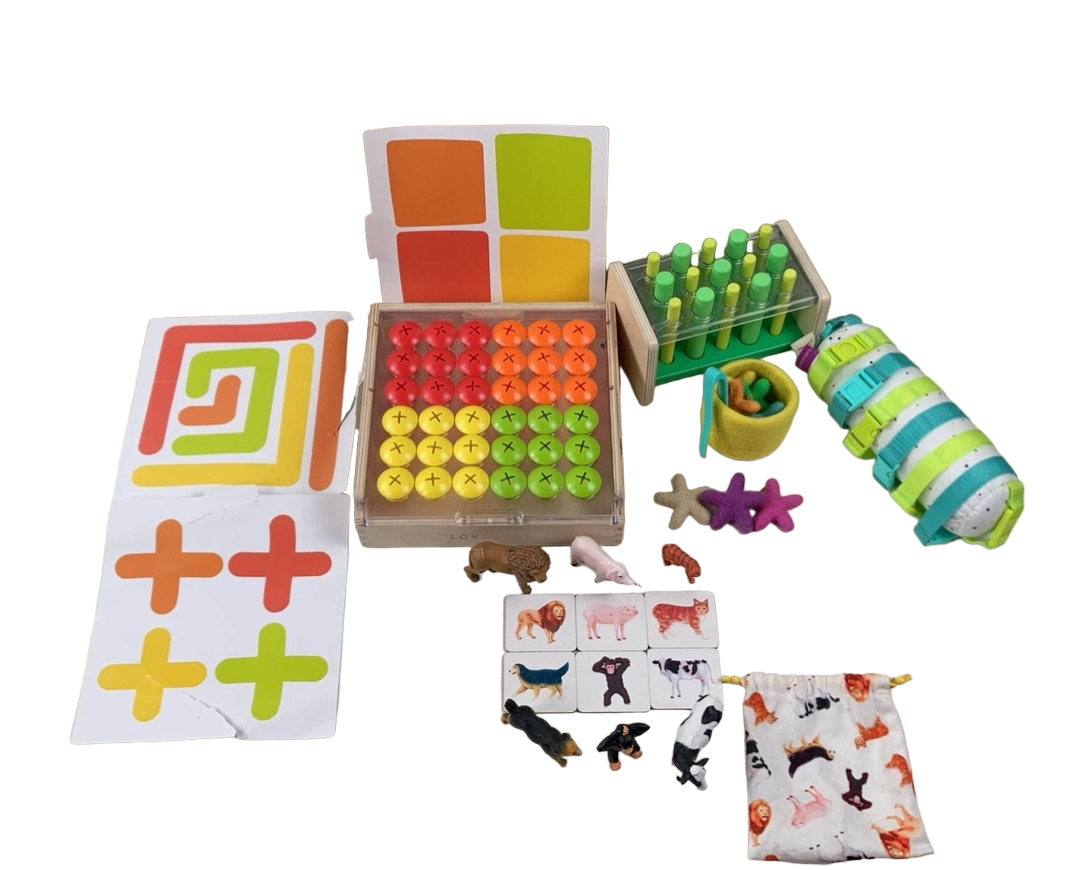 Lovevery The Companion Play Kit