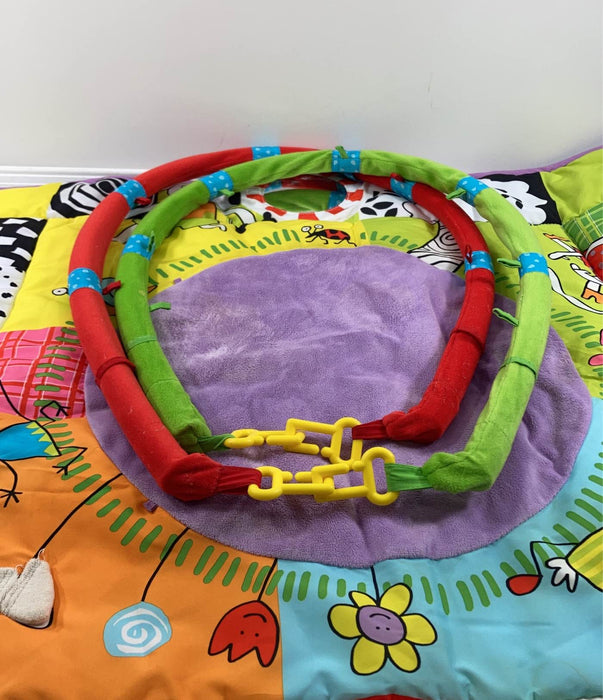 used Taf Toys Newborn Gym