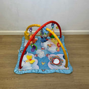 used Fisher Price Flutterbye Dreams Deluxe Gym