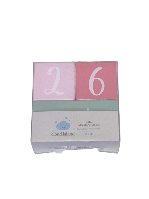 used Cloud Island Milestone Wood Blocks