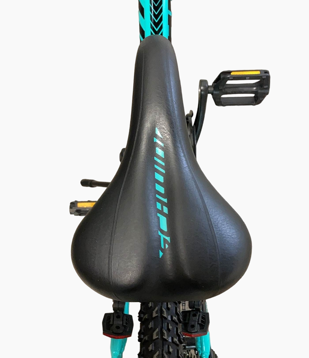 Schwinn High Timber AL Youth/Adult Mountain Bik