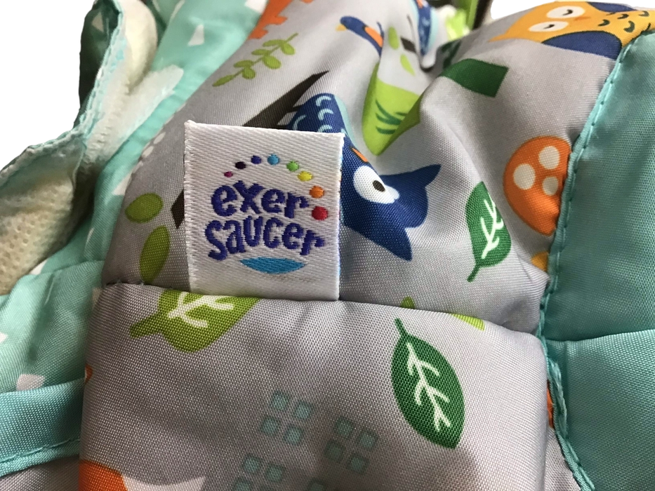 secondhand Infant Gear