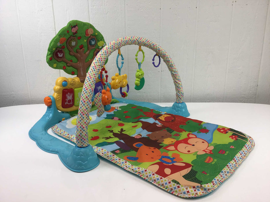 used VTech Lil’ Critters Musical Glow Gym