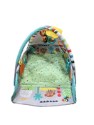 Shop Bright Starts 5-in-1 Your Way Ball Play Activity Gym, Green at GoodBuy Gear