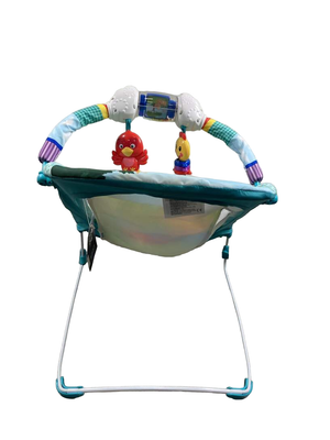 Baby einstein hot sale caterpillar bouncer