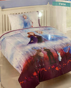 secondhand Disney Frozen II Twin Comforter