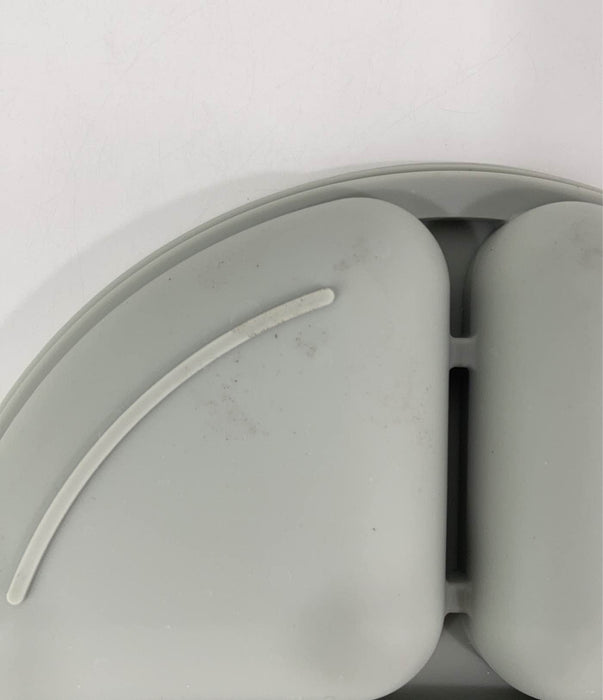 Shop Silicone Divided Plate at GoodBuy Gear
