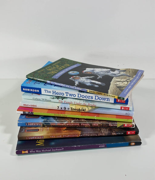 used BUNDLE Children’s Chapter Books