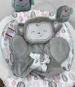 used Fisher Price Deluxe Bouncer