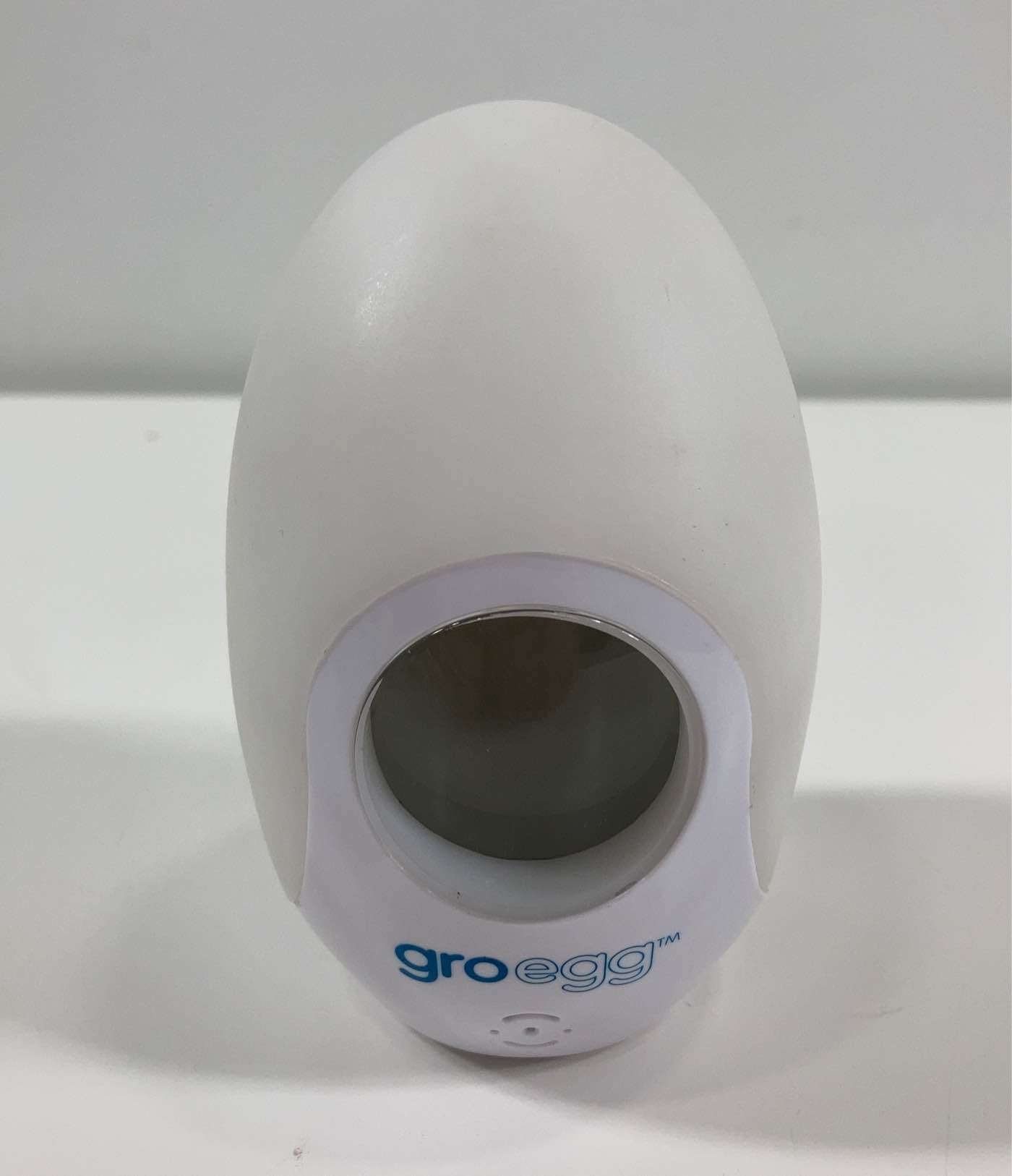  The Gro Company GRO-Egg Room Thermometer, White : Baby