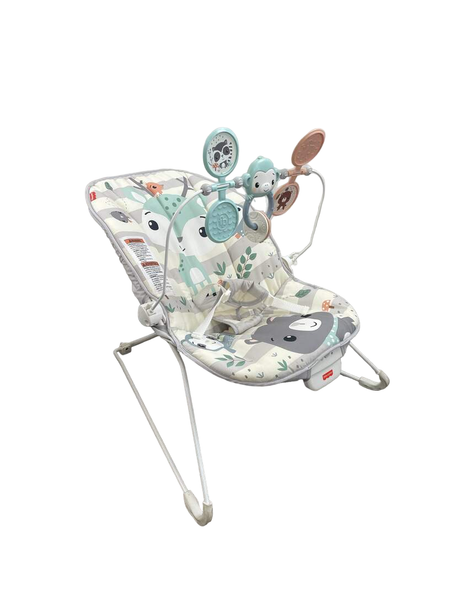 Fisher Price Baby Bouncer
