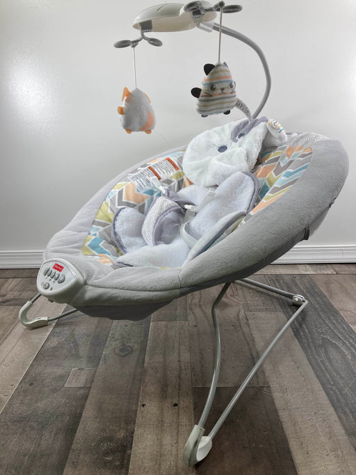 used Fisher Price Deluxe Bouncer, My Little Snugapuppy