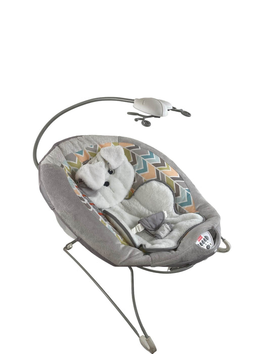 used Fisher Price Deluxe Bouncer, My Little Snugapuppy