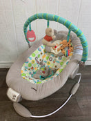 used Disney Baby Winnie The Pooh Bouncer