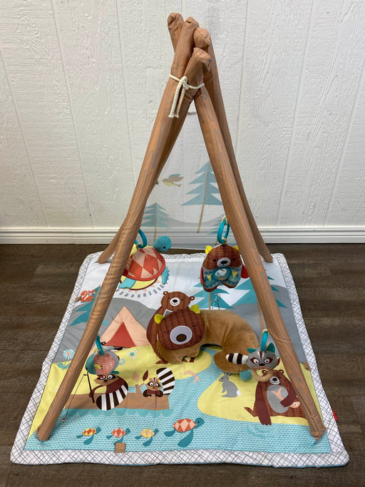 used Skip Hop Camping Cubs Activity Gym