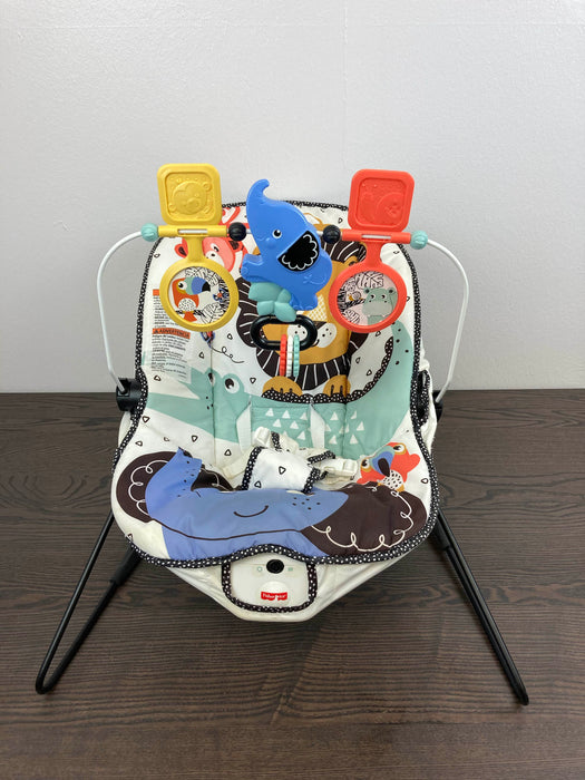 used Fisher Price Baby Bouncer