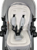secondhand Standard Strollers