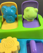 used Fisher Price Animal Friends Pop Up