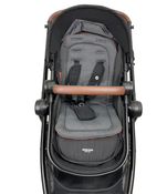 used Standard Strollers