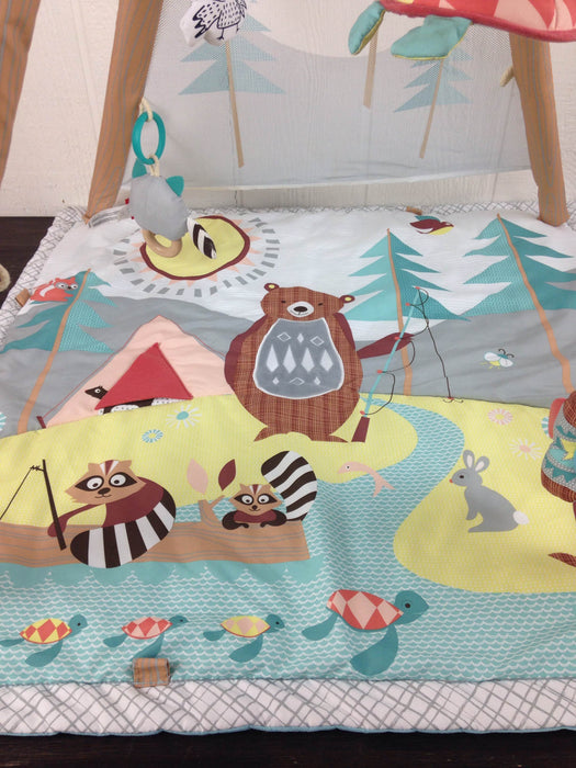 secondhand Skip Hop Camping Cubs Activity Gym