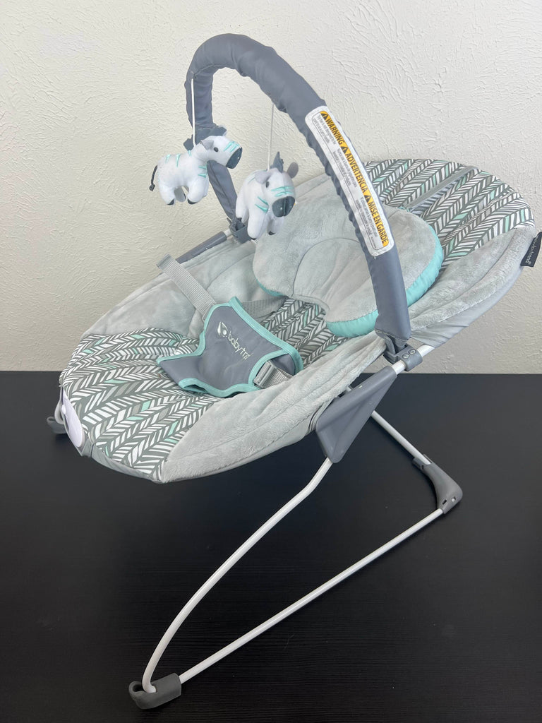 Baby Trend EZ Bouncer, Ziggy